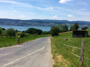 开云体育下载-“缆绳滑水：东桃花岛赛场呈现全新水上运动魅力”