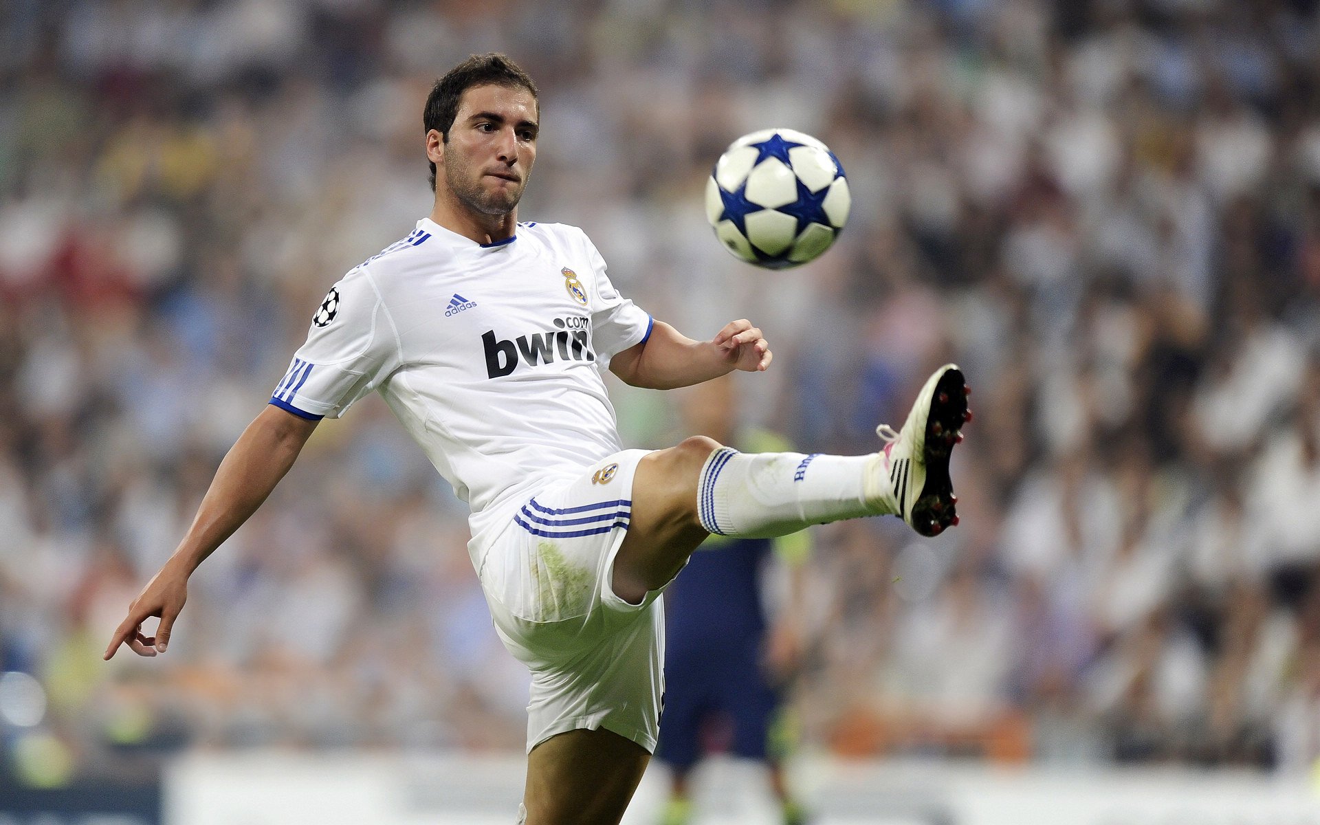 接力赛评：澳中大战堪称泳坛“巅峰对话”